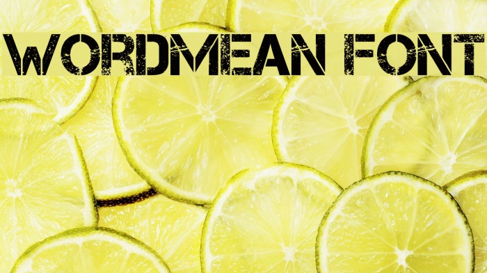 WordMean Font Font examples