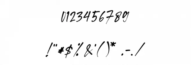 WordSignature Font Alte caractere