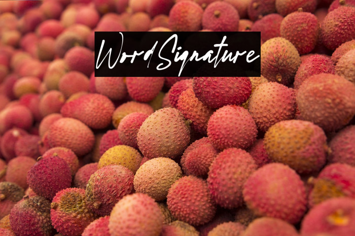 WordSignature Example 2