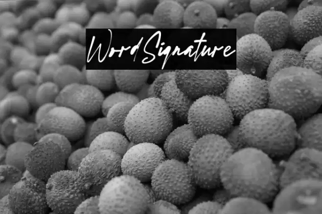 WordSignature 字体 examples