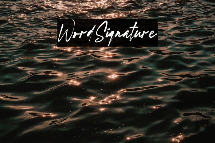 WordSignature Example 3