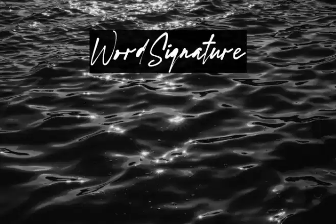 WordSignature 字体 examples