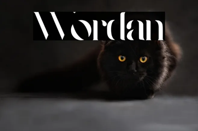 Wordan Example 3