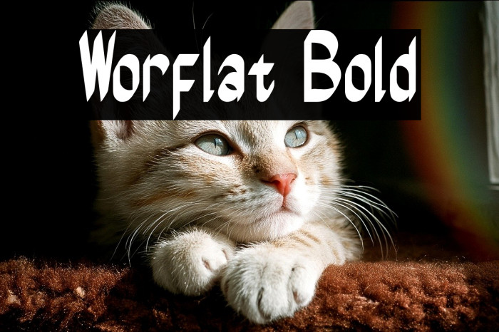 Worflat Bold Example 2