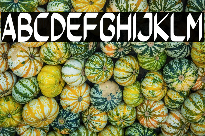 Worflat-Bold Example 3