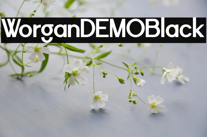 Worgant DEMO Black Example 1