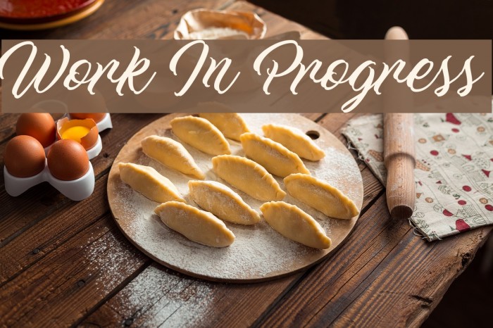 Work In Progress Font examples