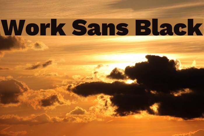 Work Sans Black Font examples