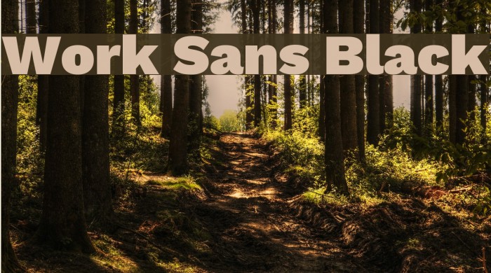 Work Sans Black Font examples