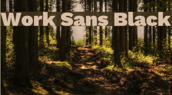 Work Sans Black Example 2
