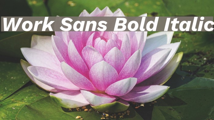 Work Sans Bold Italic Font examples