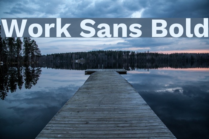 Work Sans Bold Font examples