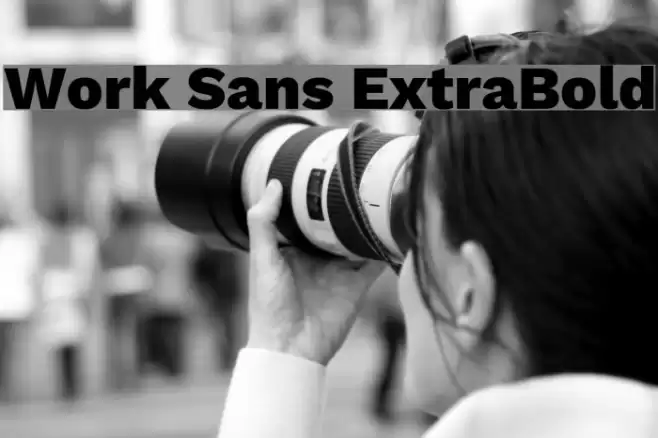 Work Sans ExtraBold フォント examples