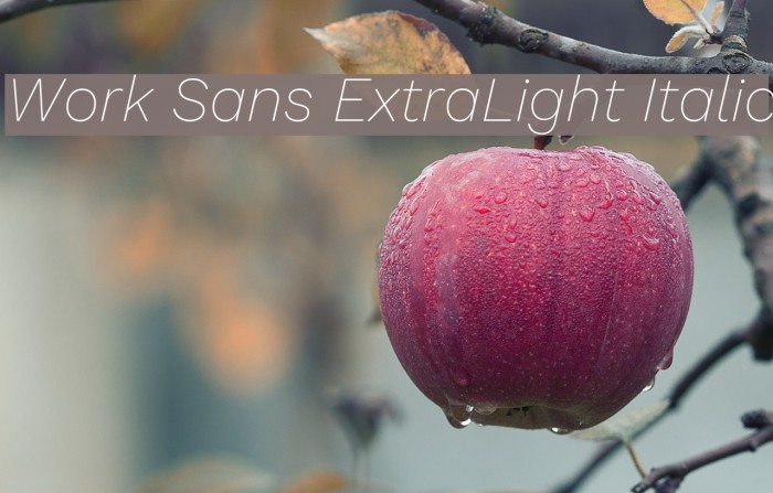 Work Sans ExtraLight Italic Font examples