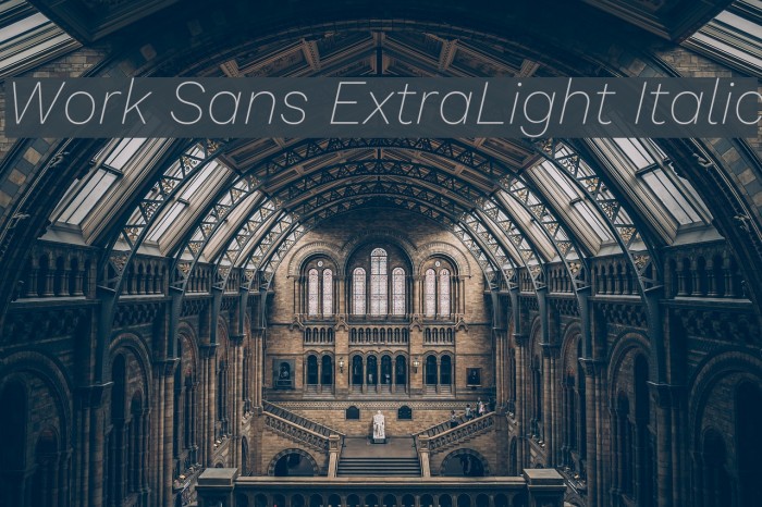 Work Sans ExtraLight Italic Font examples