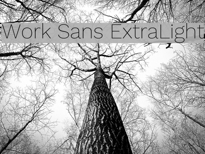Work Sans ExtraLight Font examples