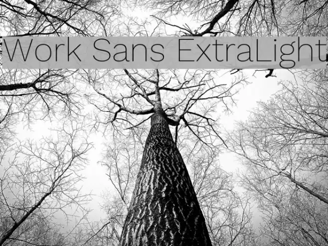 Work Sans ExtraLight フォント examples
