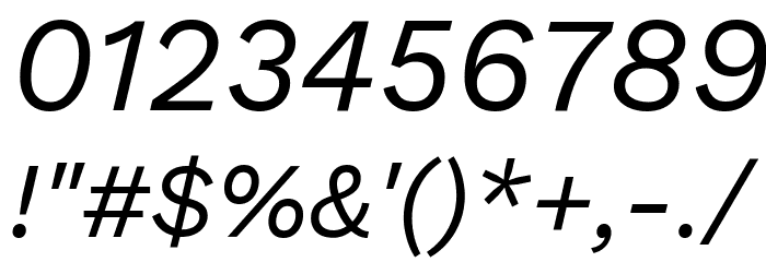 Work Sans Italic Font OTHER CHARS