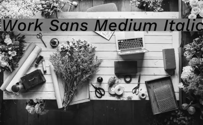 Work Sans Medium Italic Font examples