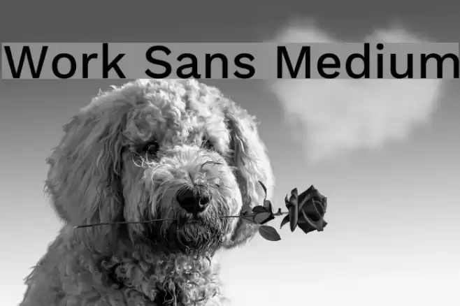 Work Sans Medium Font examples