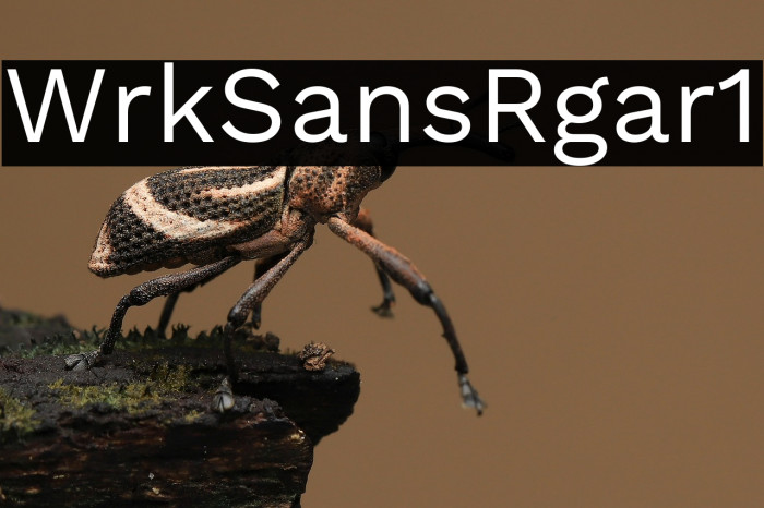Work Sans Regular1 Example 1