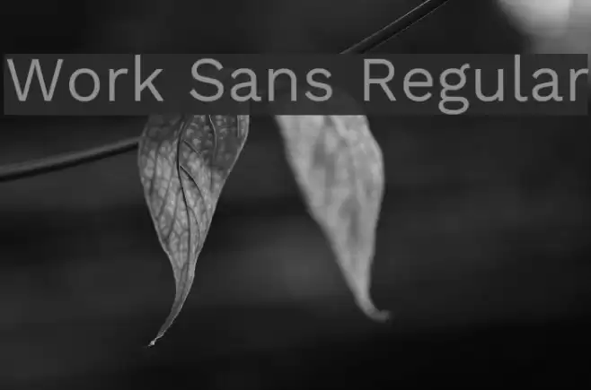 Work Sans Regular Font examples