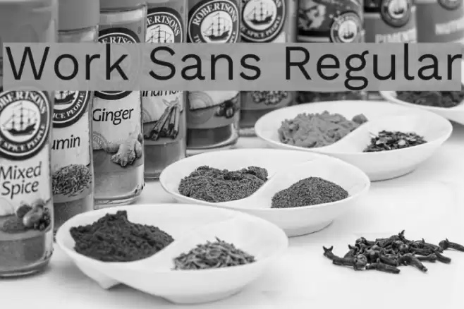 Work Sans Regular Font examples
