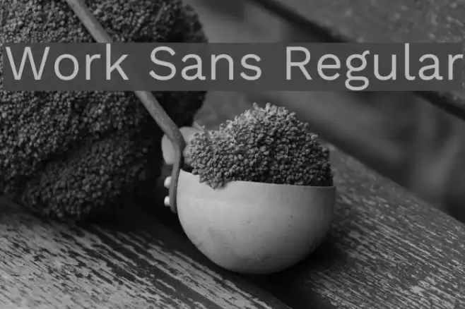 Work Sans Regular Font examples