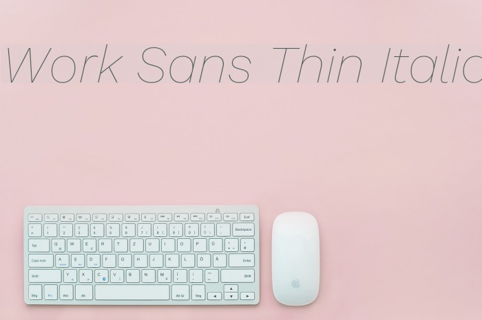 Work Sans Thin Italic Font examples