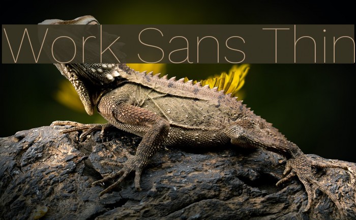 Work Sans Thin Font examples