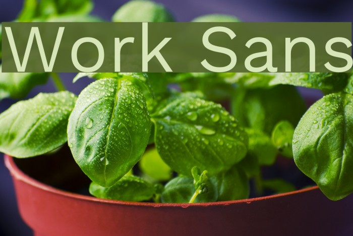 Work Sans Fonte examples
