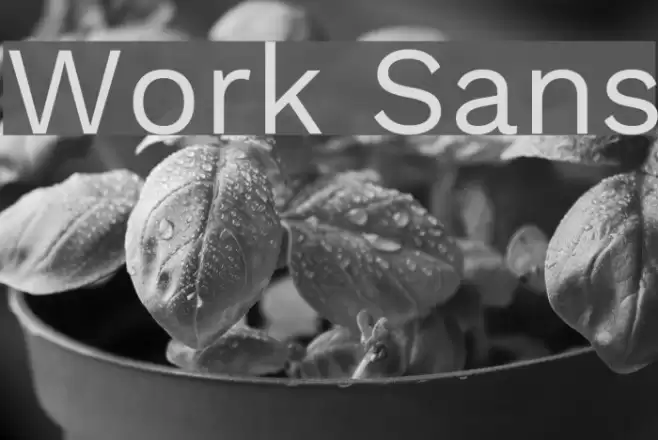 Work Sans examples