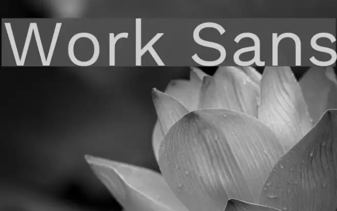 Work Sans examples