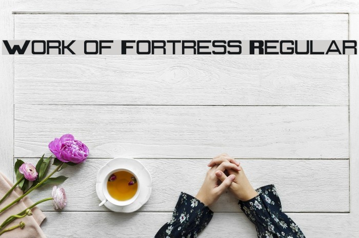 Work of Fortress Regular Font examples