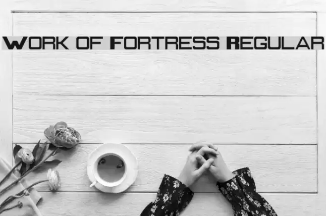 Work of Fortress Regular Font examples