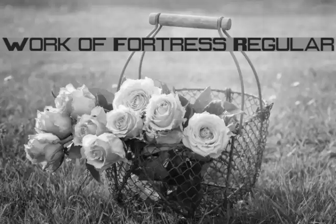 Work of Fortress Regular Font examples