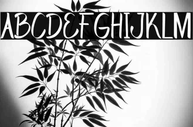 WorkColleagueRegular Шрифта examples