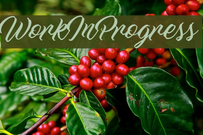 WorkInProgress Example 2