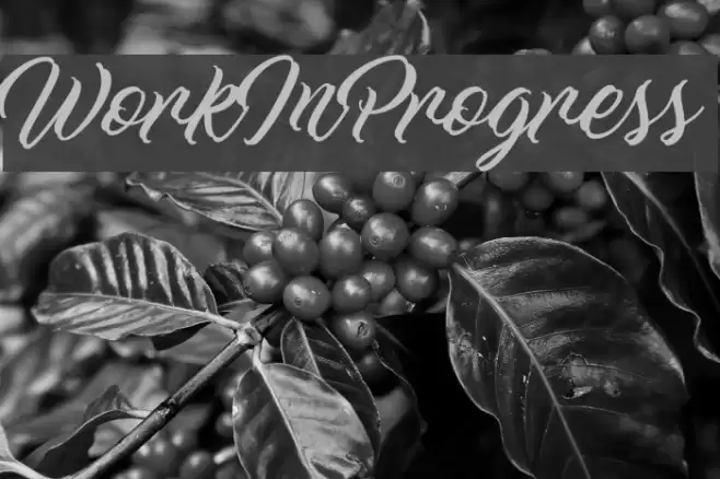 WorkInProgress Font examples