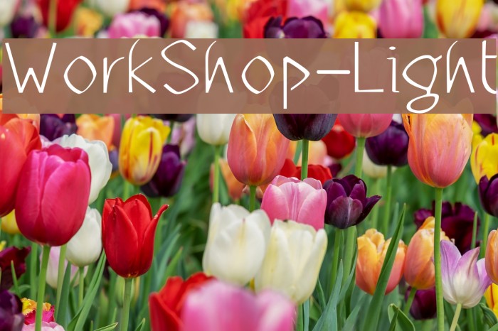 WorkShop-Light Font examples