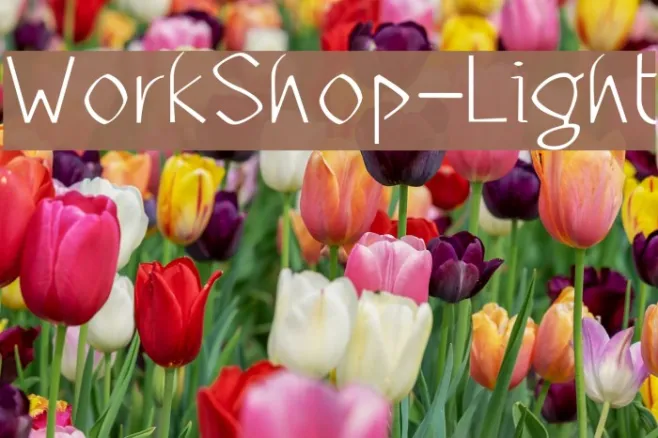 WorkShop-Light Example 1