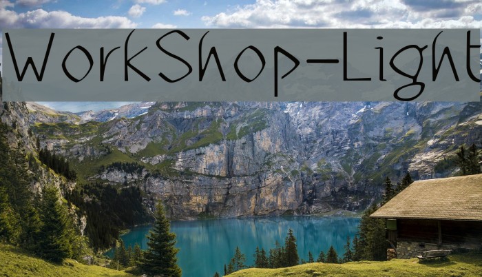 WorkShop-Light Font examples
