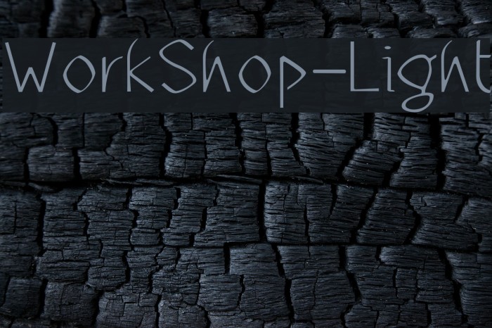 WorkShop-Light Font examples