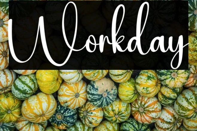 Workday Example 2