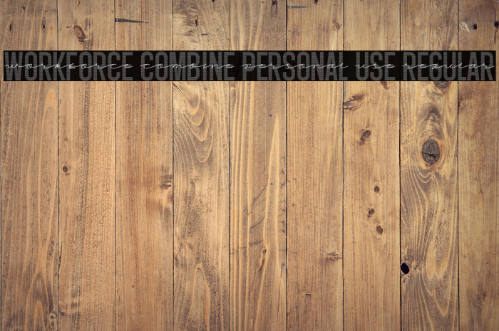 Workforce Combine PERSONAL USE Regular Example 1