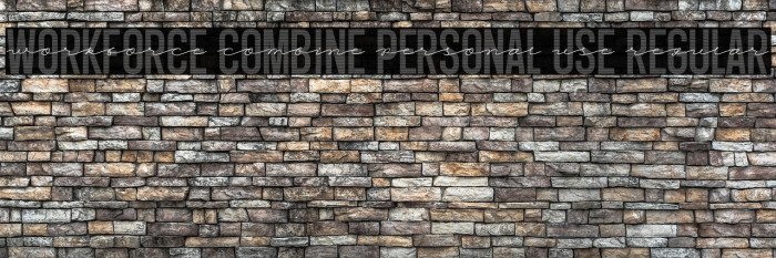 Workforce Combine PERSONAL USE Regular Example 3