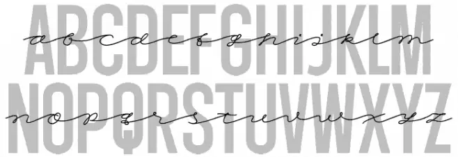 Workforce Combine PERSONAL USE Regular Polices MINUSCULES