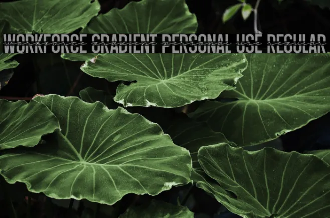 Workforce Gradient PERSONAL USE Regular Example 2