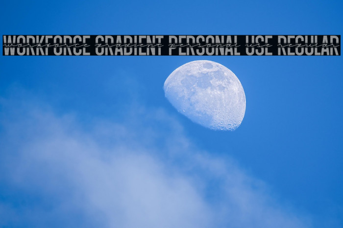 Workforce Gradient PERSONAL USE Regular Example 3