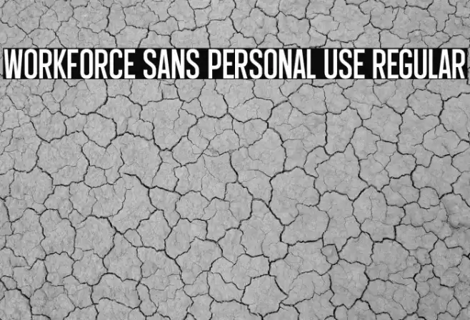 Workforce Sans PERSONAL USE Regular Font examples